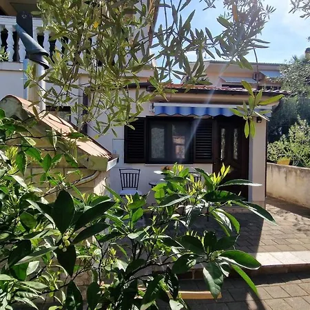 Tunjic Apartment